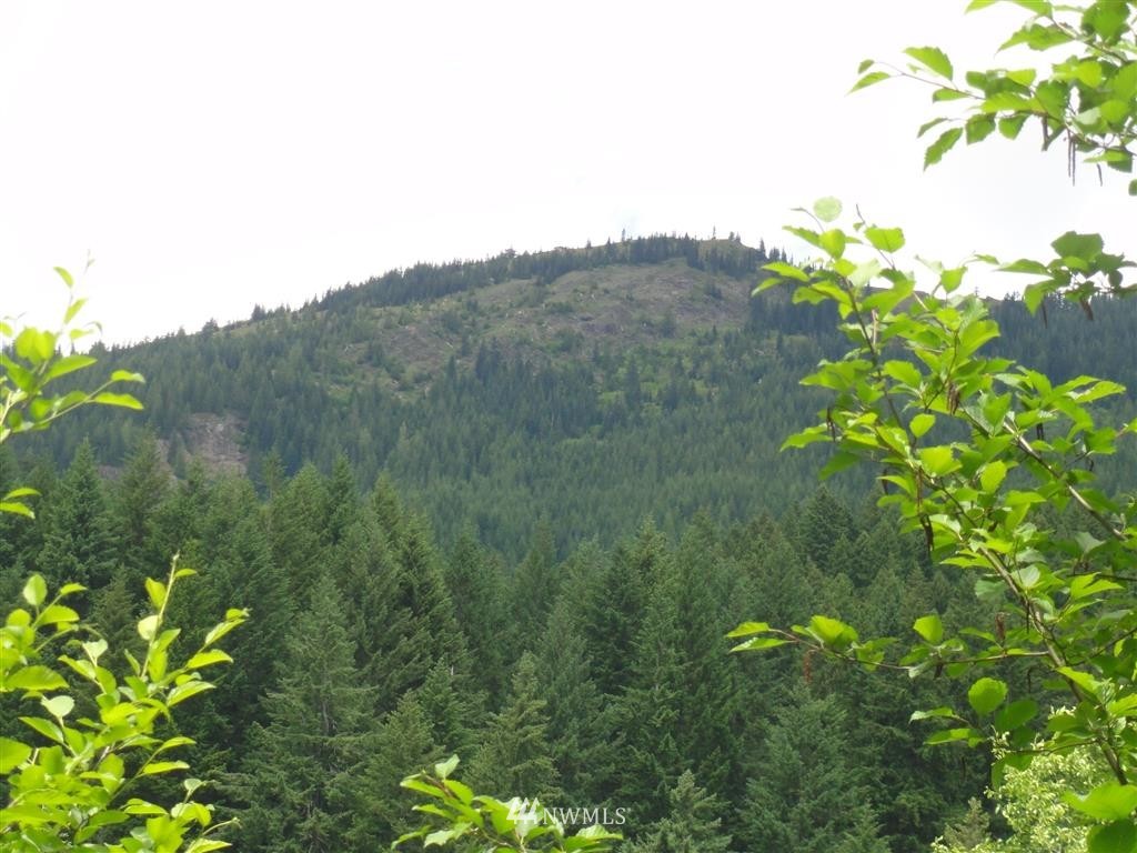 0 Leroy Road Randle, WA 98377 - Photo 20 of 20 Gallery Image 20
