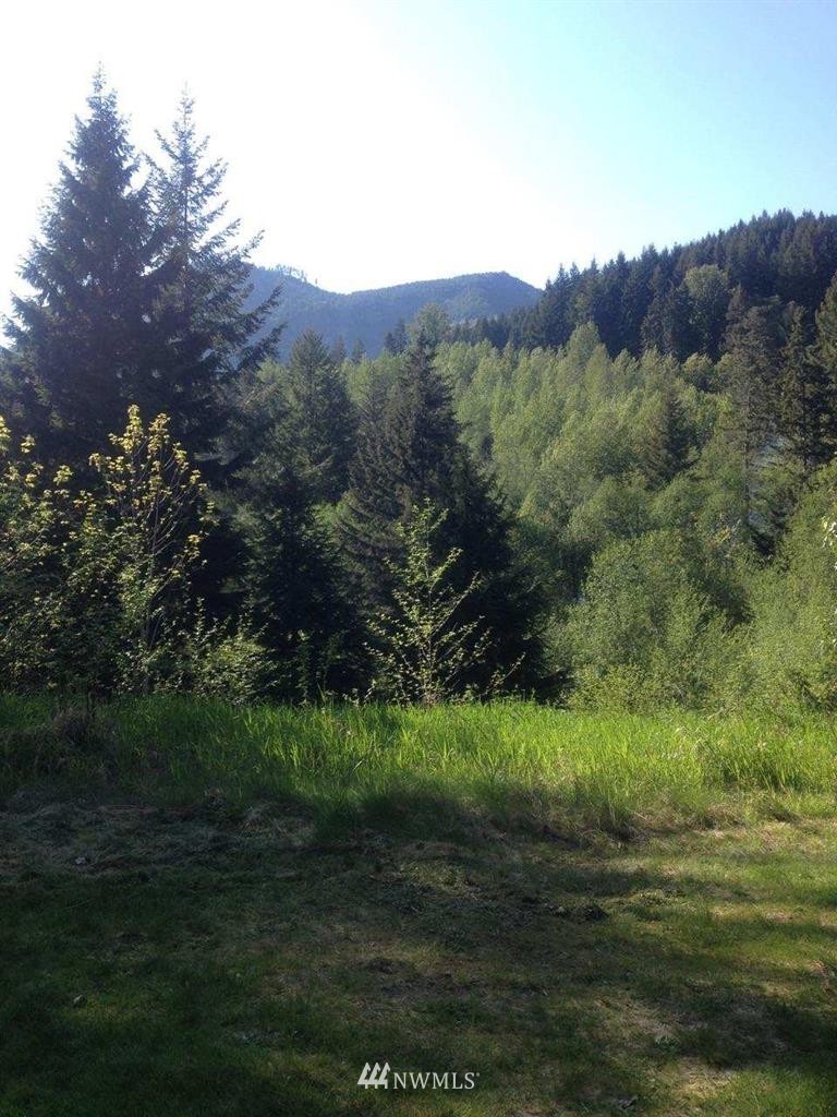 0 Leroy Road Randle, WA 98377 - Photo 5 of 20 Gallery Image 5