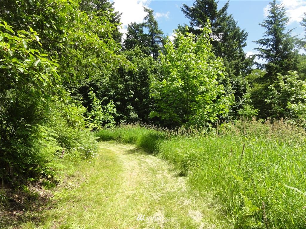 0 Leroy Road Randle, WA 98377 - Photo 9 of 20 Gallery Image 9
