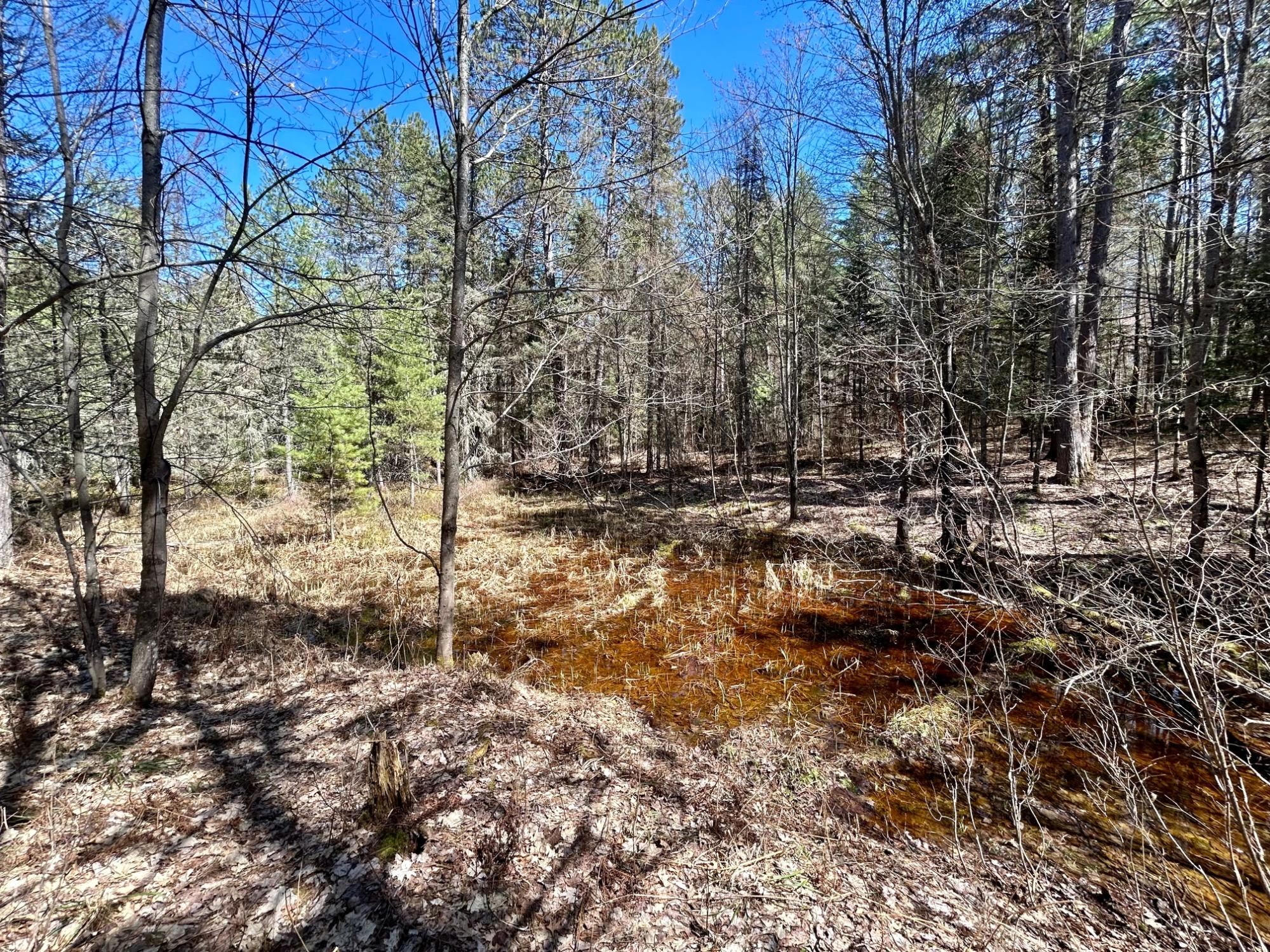 80-ac Off Razorback Road Conover, WI 54519 - Photo 19 of 19