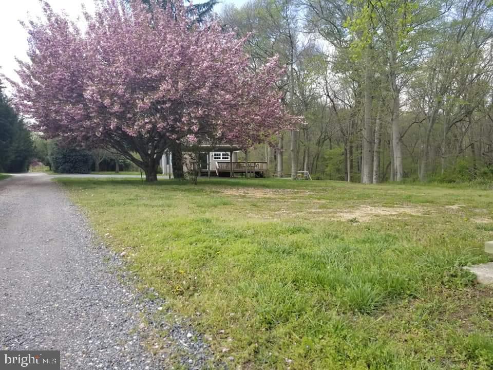 12671 Holly Road Greensboro, MD 21639 - Photo 14 of 16 Gallery Image 14
