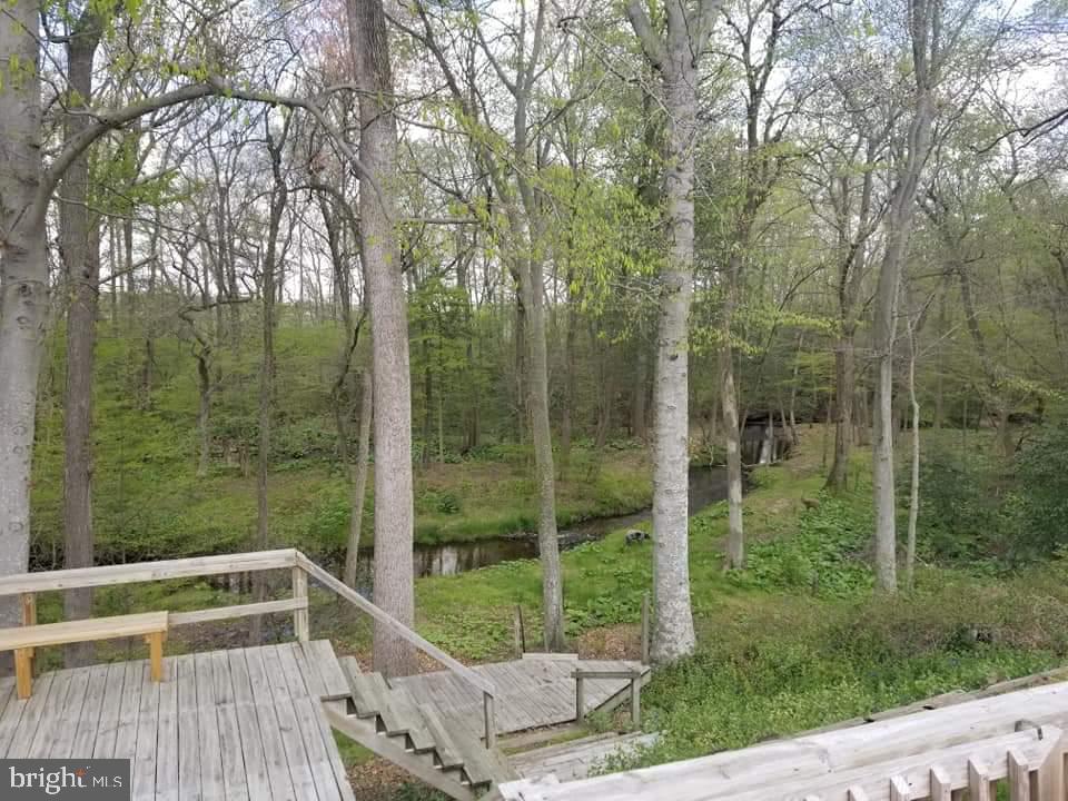 12671 Holly Road Greensboro, MD 21639 - Photo 15 of 16 Gallery Image 15
