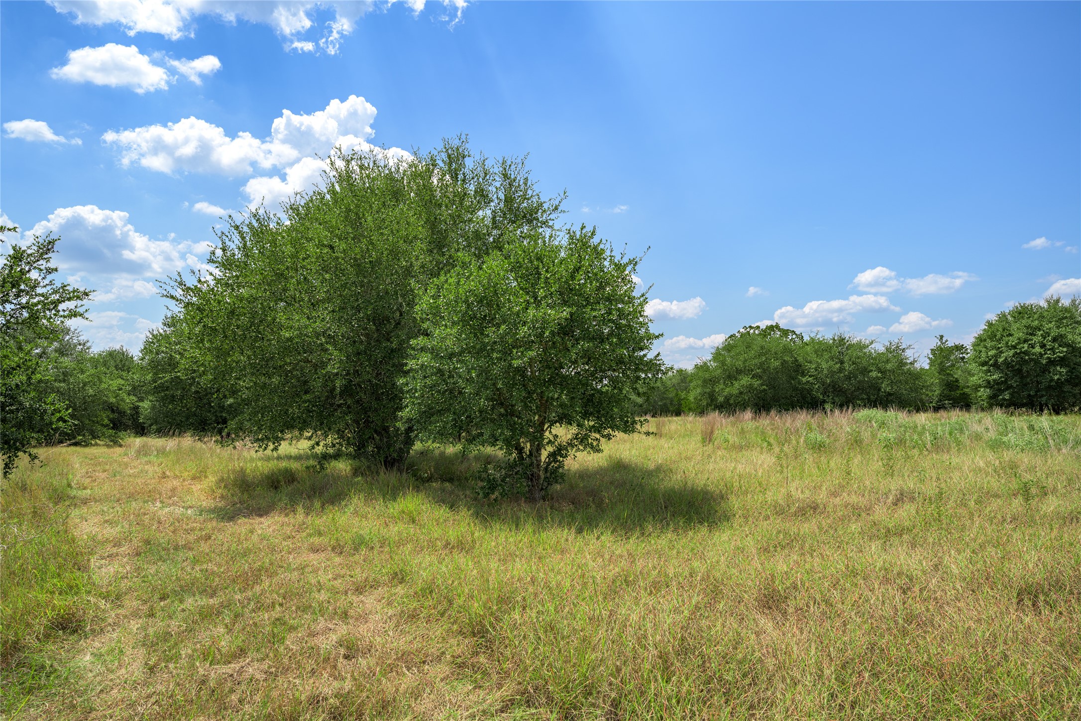 10842 Rauch Road Ledbetter, TX 78946 - Photo 15 of 24