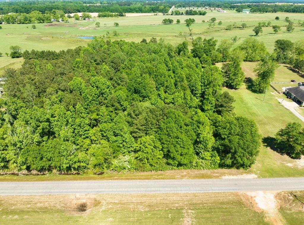204691 Suggs Road Headland, AL 36345 - Photo 11 of 14