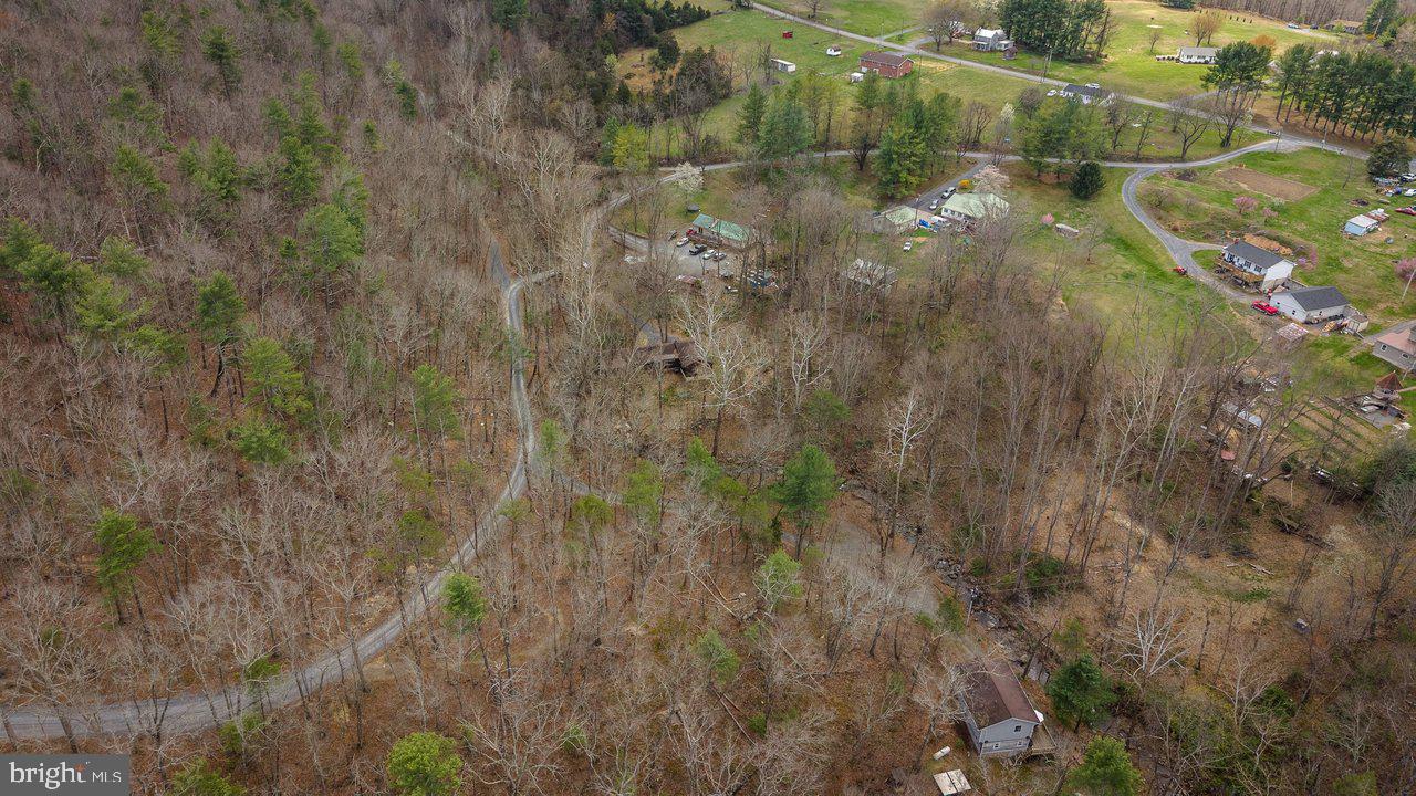 191 Hideaway Farms Road Edinburg, VA 22824 - Photo 32 of 40 a view of a forest