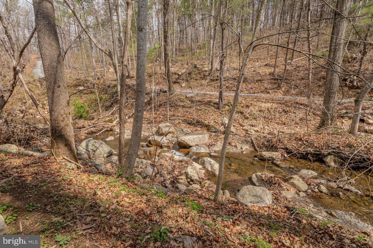 191 Hideaway Farms Road Edinburg, VA 22824 - Photo 33 of 40 a view of a yard