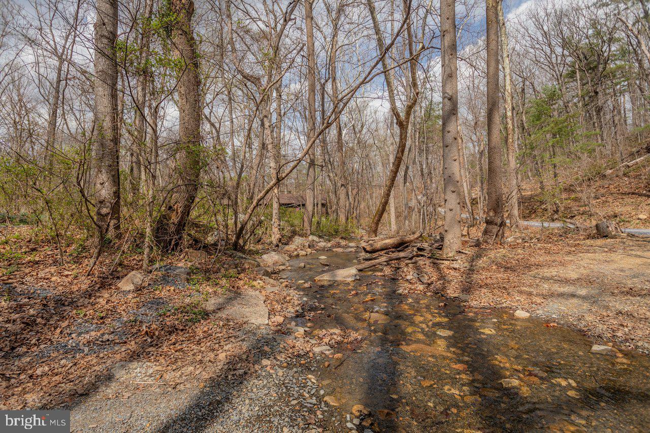 191 Hideaway Farms Road Edinburg, VA 22824 - Photo 37 of 40 a view of covered with green space