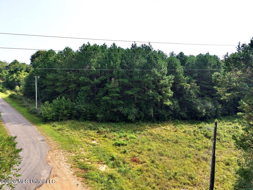 Tamchelle Road Lumberton, MS 39455 - Photo 12 of 24 IMG_1635