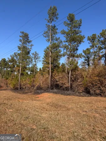a view of a yard with a tree
