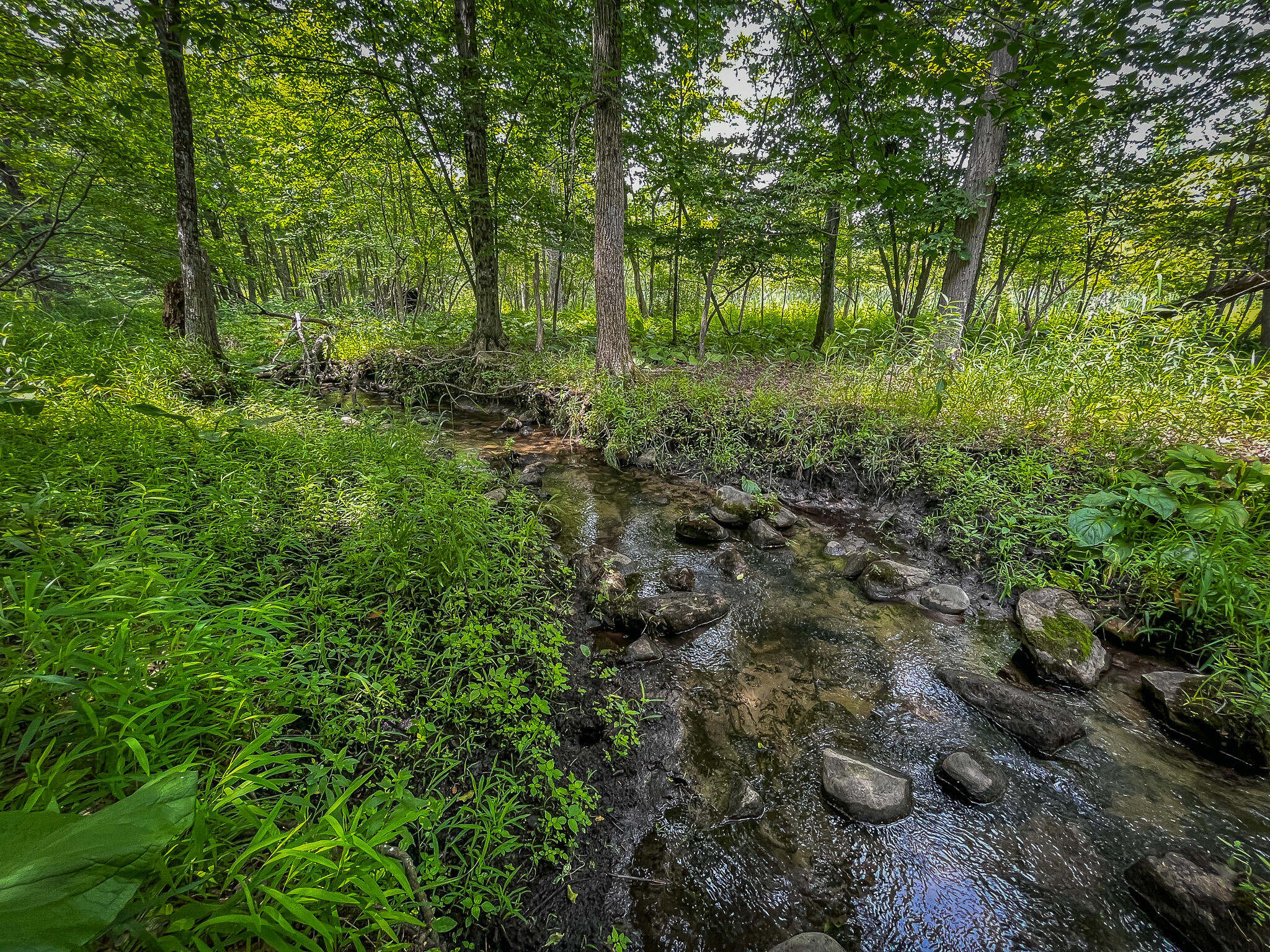 6015 East Mcbrides Road Edmore, MI 48829 - Photo 34 of 43 IMG_9373
