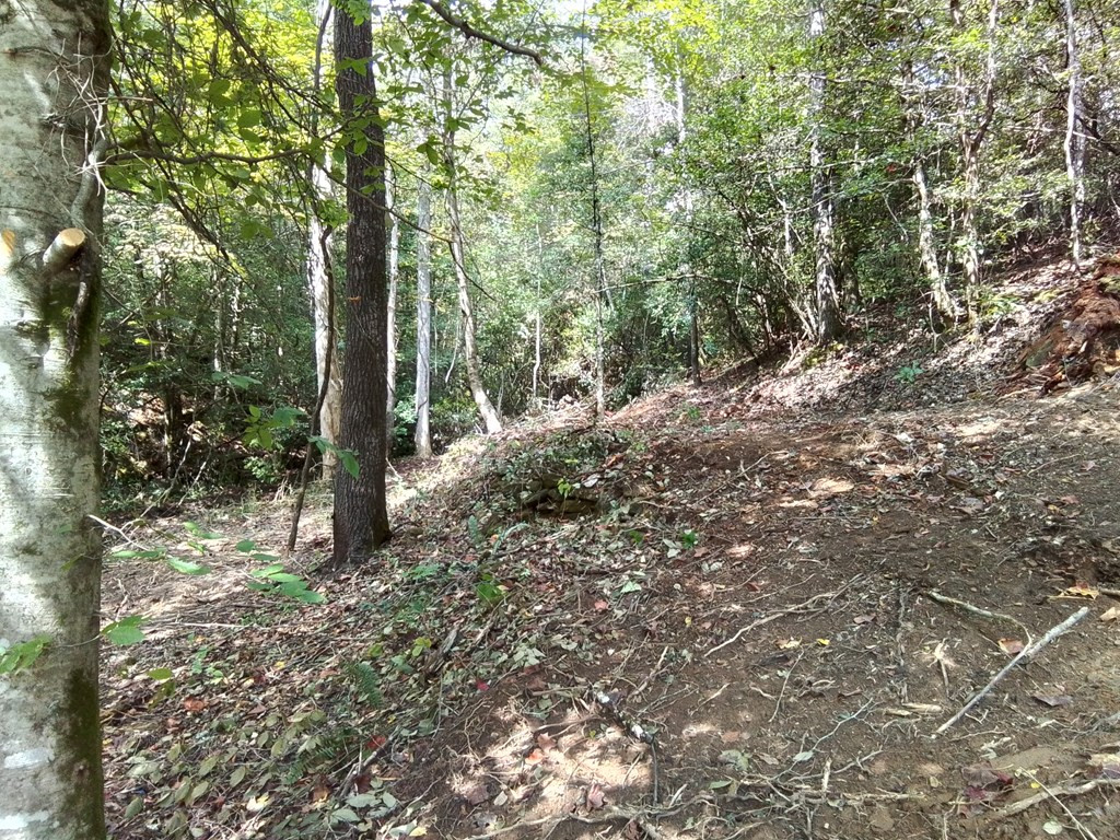 End Of Tanglewood Ridge Murphy, NC 28906 - Photo 19 of 38