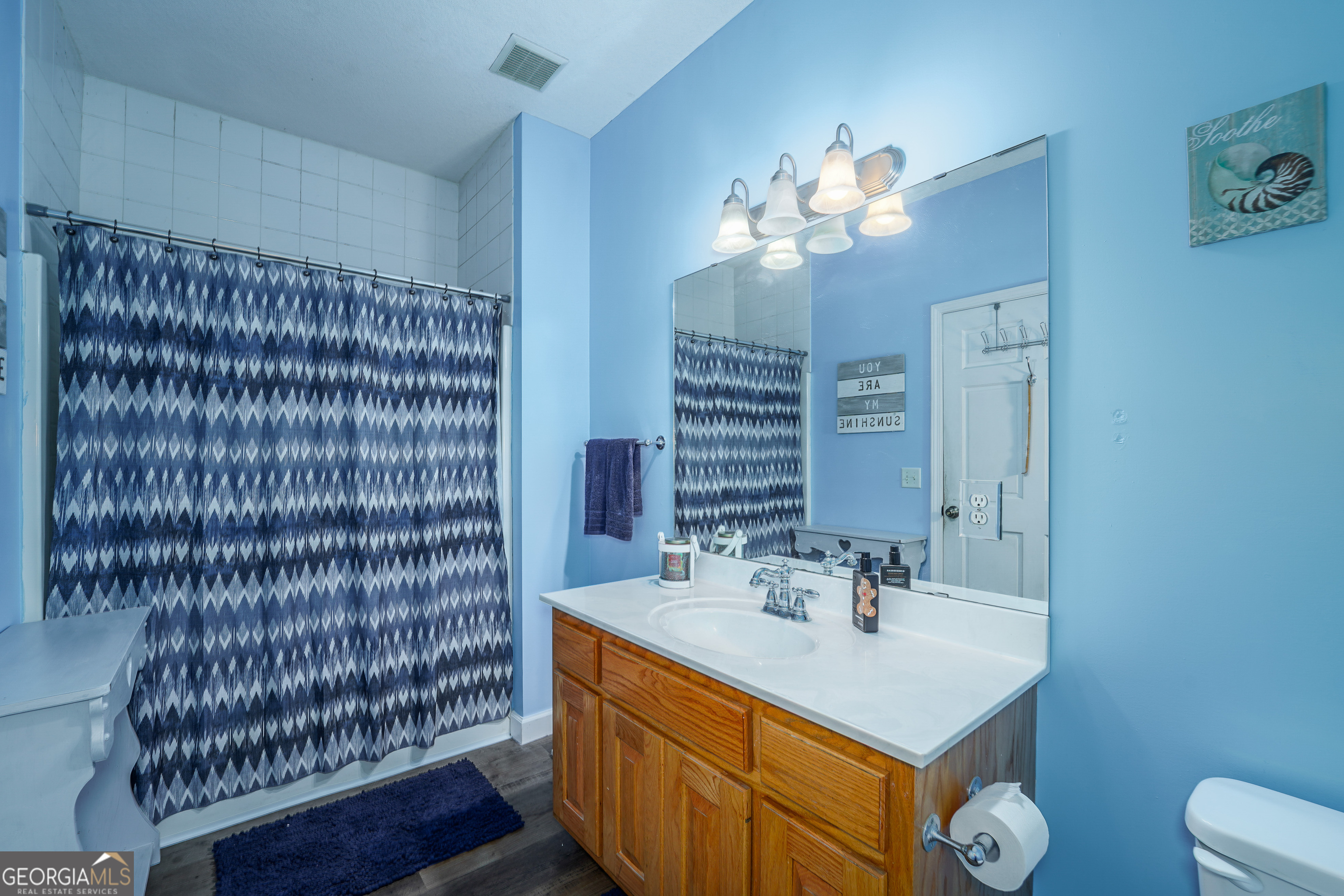 3300 Connor Lane Waycross, GA 31503 - Photo 36 of 42 a bathroom with a sink a light fixture and a mirror