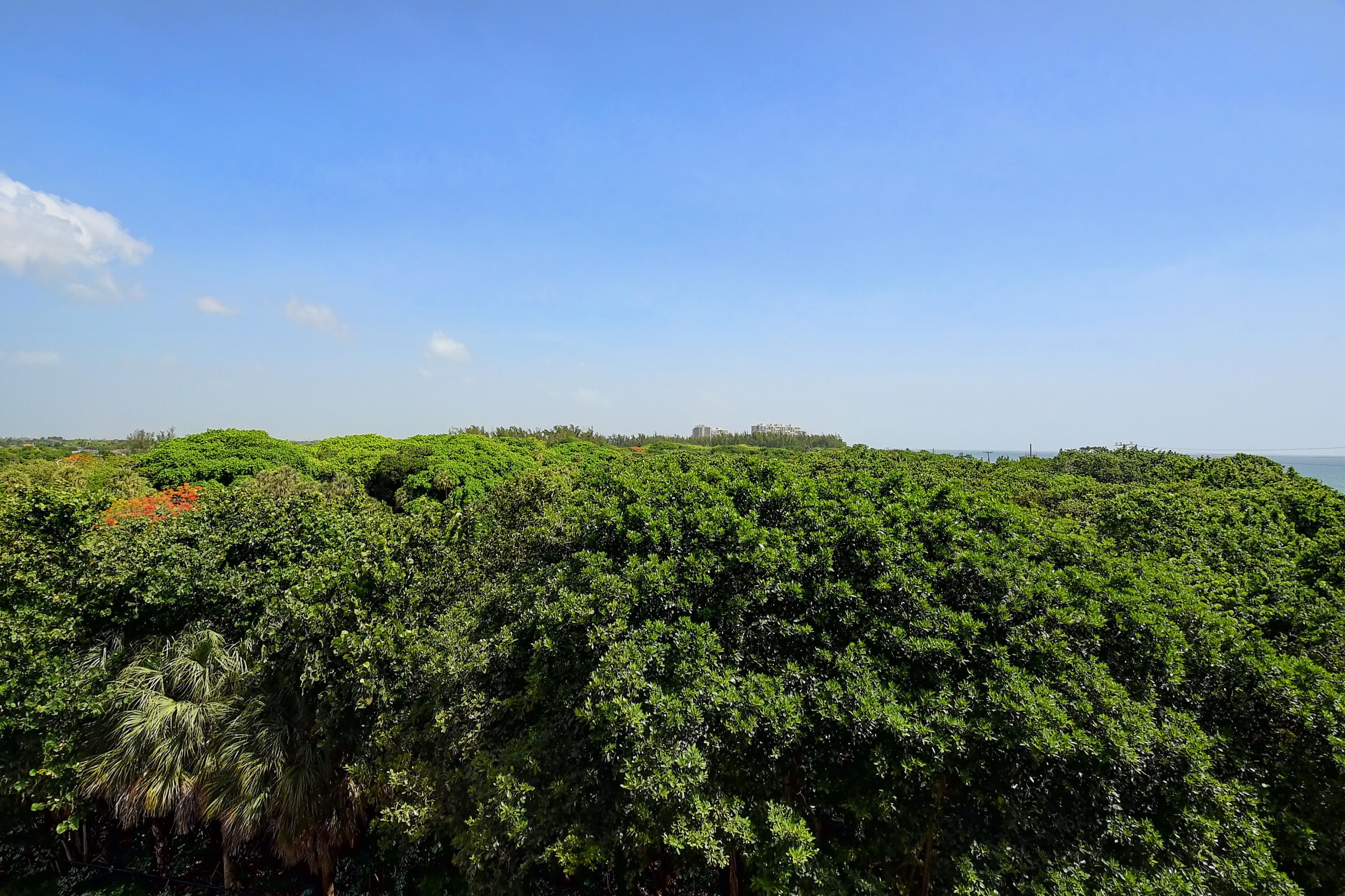 2871 North Ocean Boulevard, Unit C509 Boca Raton, FL 33431 - Photo 31 of 42 06_dsc_1084_5_6_7_8