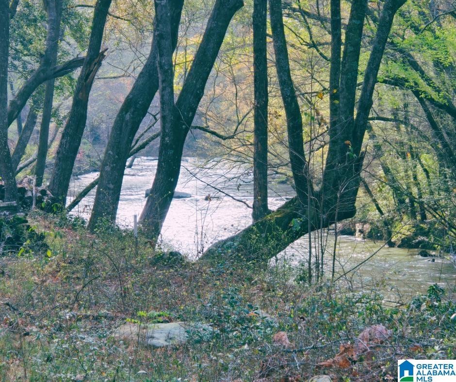 Bluegrass Lane, Unit 11 Jasper, AL 35503 - Photo 4 of 38