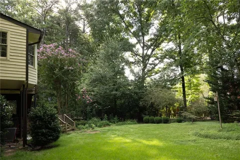 a view of a trees with a yard