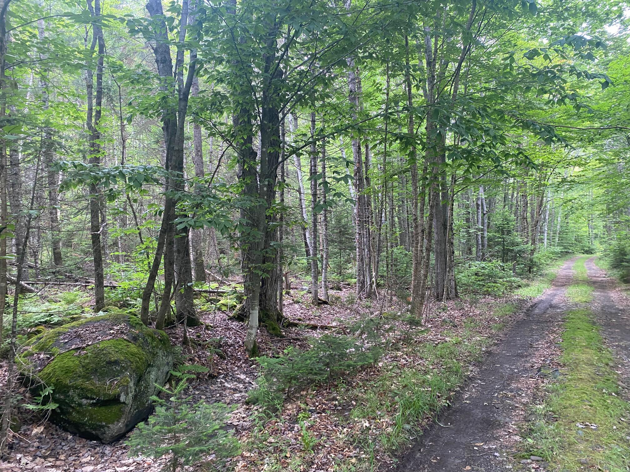 Lot#17 Guilford Center Road Guilford, ME 04443 - Photo 19 of 20