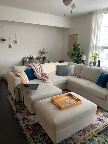 a living room with furniture and a potted plant