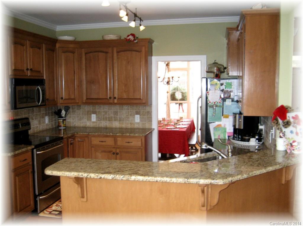 115 Rushing Water Lane Troutman, NC 28166 - Photo 9 of 24 Gallery Image 9