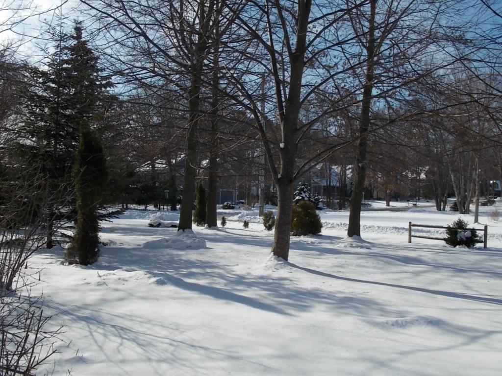 61 Darcy Road York, ME 03909 - Photo 21 of 22 Photo