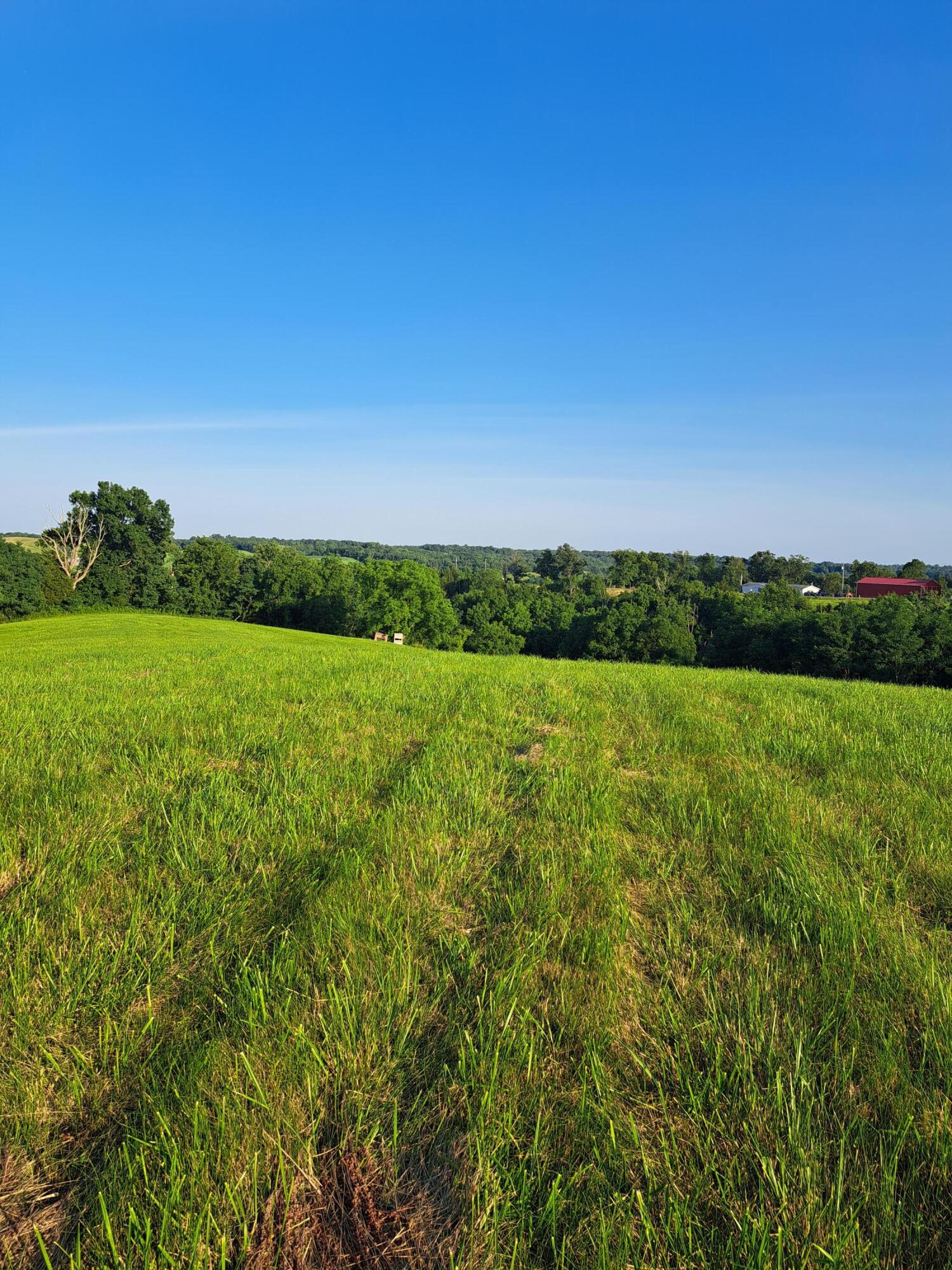 0 Layton Chapel Road Corinth, KY 41010 - Photo 1 of 10 Gallery Image 1
