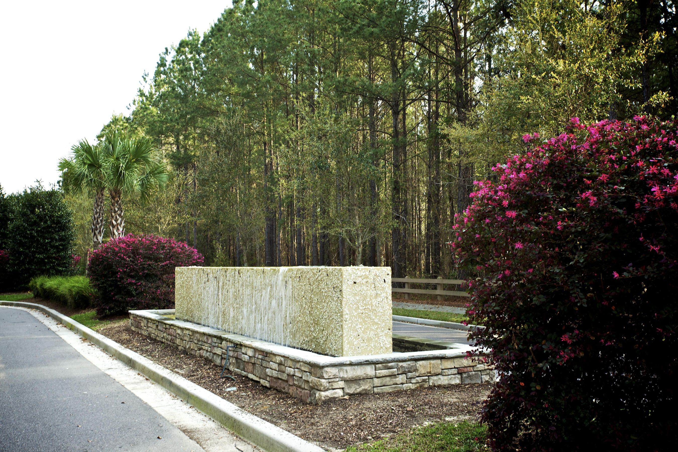 1559 Roustabout Way Charleston, SC 29414 - Photo 33 of 42 BL Bees Ferry Water Feature 2
