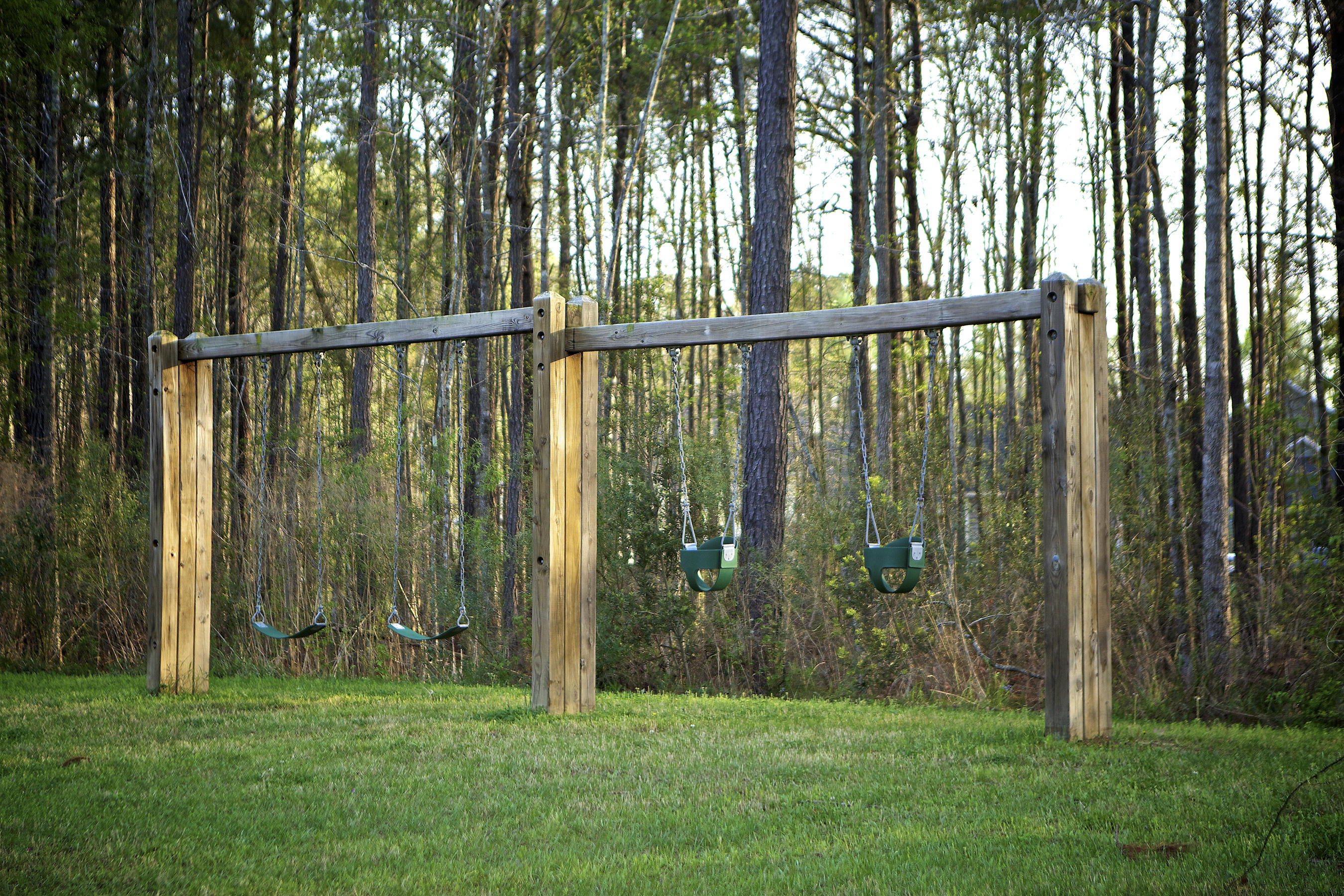 1559 Roustabout Way Charleston, SC 29414 - Photo 39 of 42 BL Swingset