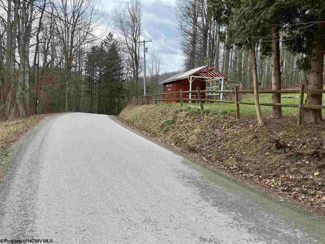 178 Brooklyn Heights Road Parsons, WV 26287 - Photo 12 of 21 Gallery Image 12