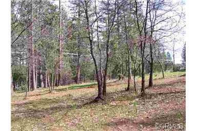 23097 West Point Pioneer Road West Point, CA 95255 - Photo 3 of 5 a view of a yard with trees