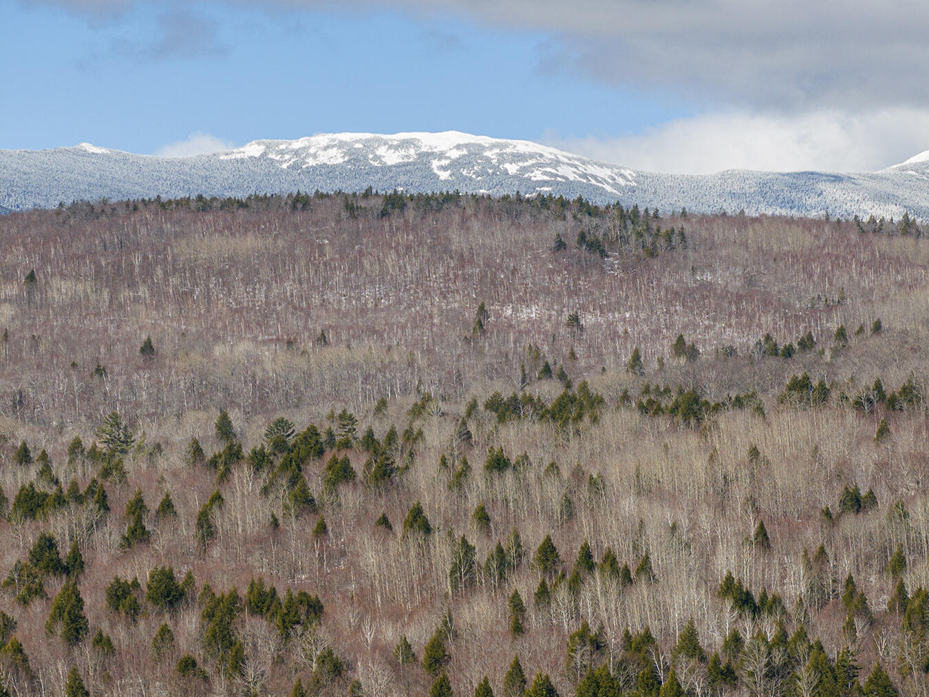 Lot 2-1 Lot Road Kingfield, ME 04947 - Photo 11 of 14 Lot 2 Lower Vose Road-21