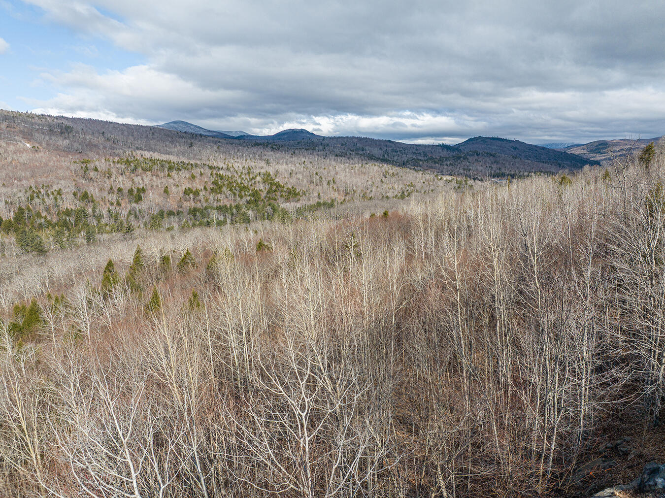 Lot 2-1 Lot Road Kingfield, ME 04947 - Photo 5 of 14 Lot 2 Lower Vose Road-9