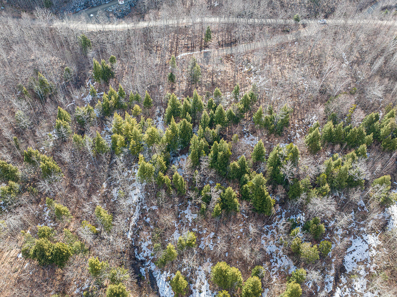 Lot 2-1 Lot Road Kingfield, ME 04947 - Photo 6 of 14 Lot 2 Lower Vose Road-12