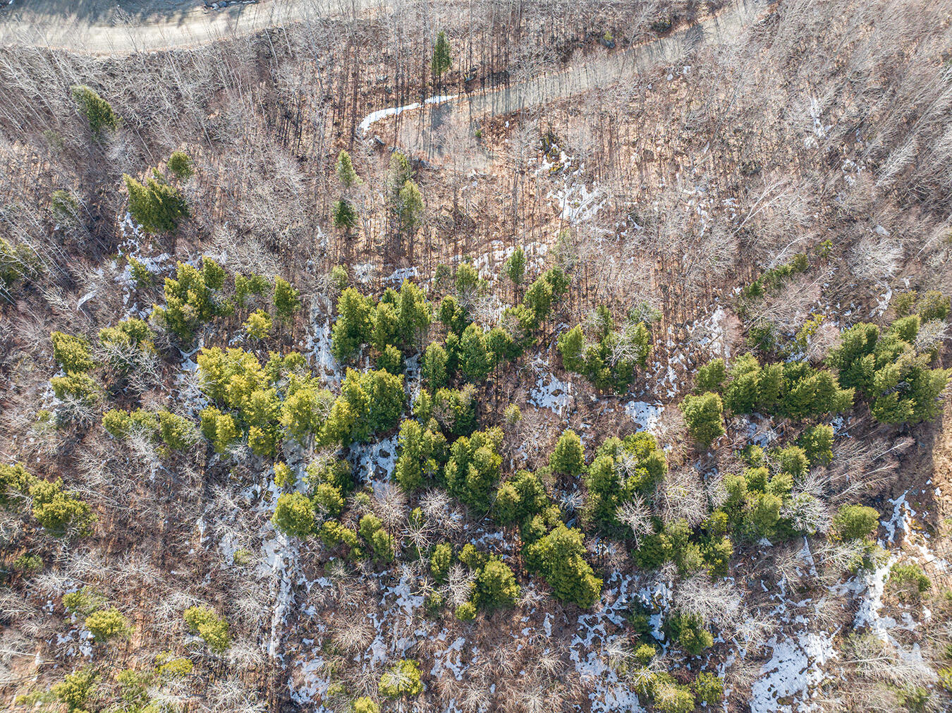 Lot 2-1 Lot Road Kingfield, ME 04947 - Photo 7 of 14 Lot 2 Lower Vose Road-16