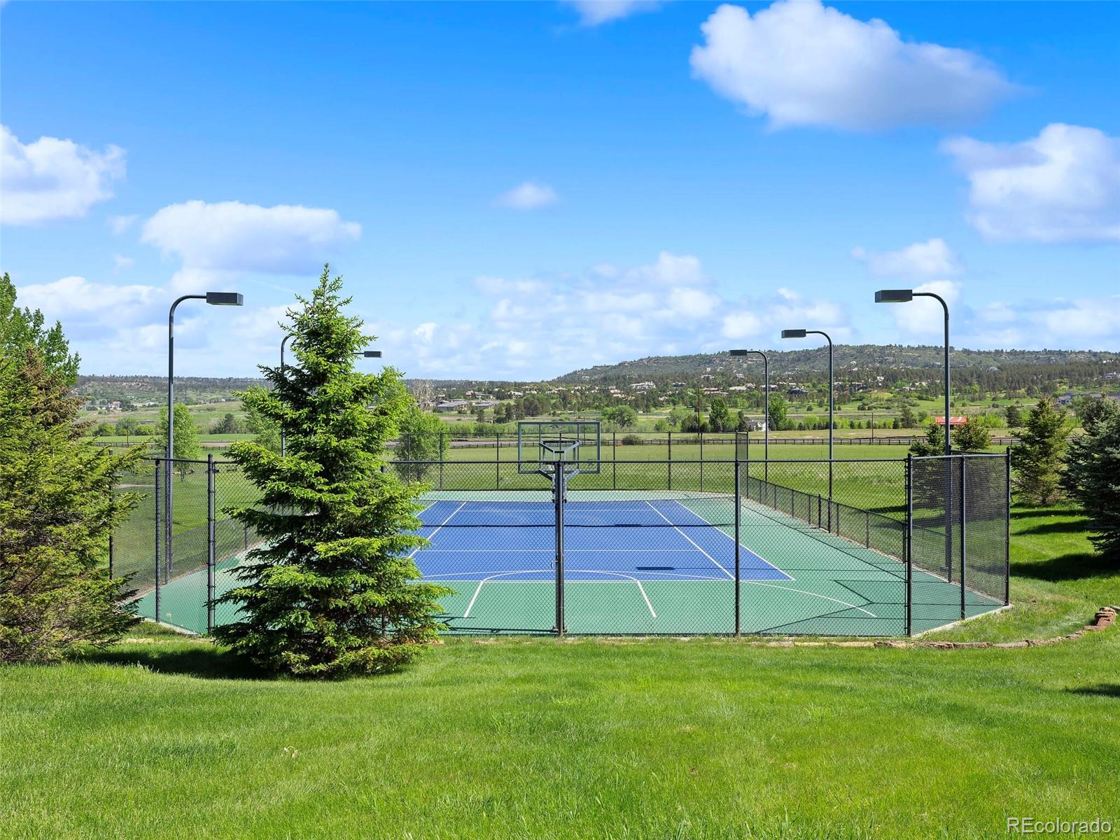 1395 Waverton Ranch Road Castle Rock, CO 80109 - Photo 5 of 40 a view of a garden