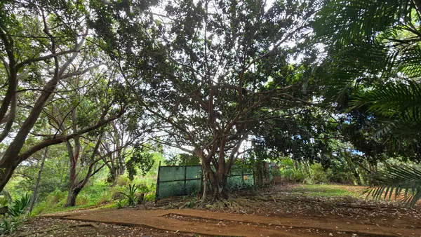 $579,000 | 3215 C Wawae Road, Kalaheo, HI 96741