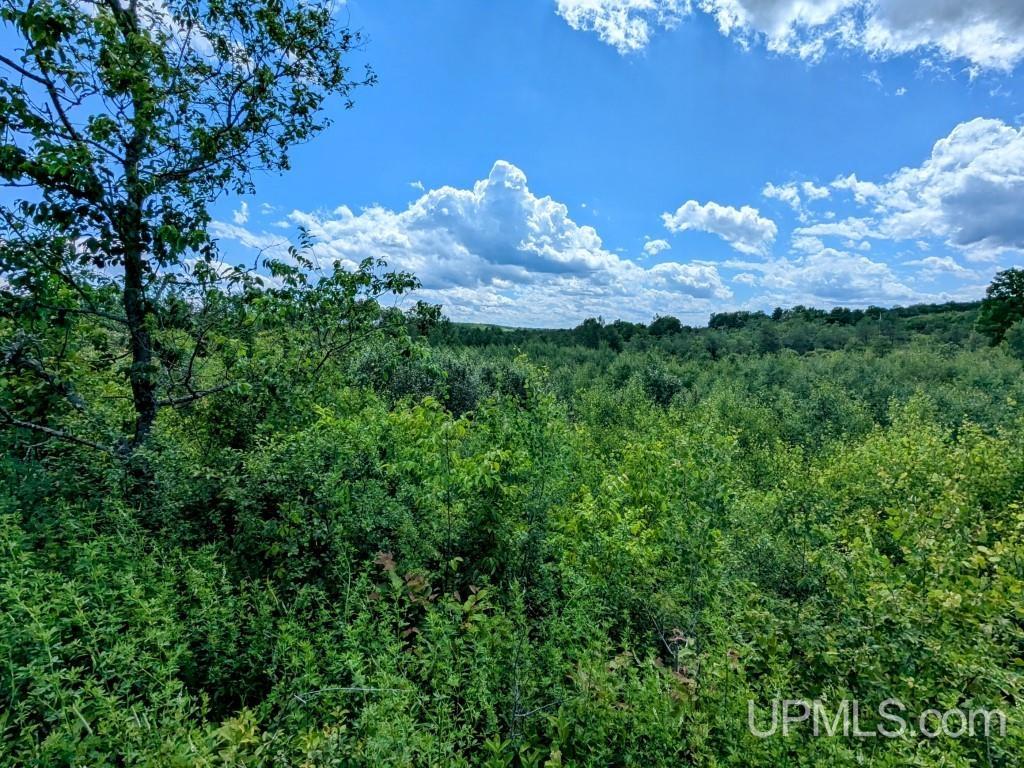 424 Rd Alpha Mi 49902 Road Alpha, MI 49902 - Photo 27 of 31