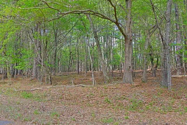 $45,000 | 0 Ridgelake(15-a 15-b) Circle, St. Matthews, SC 29135