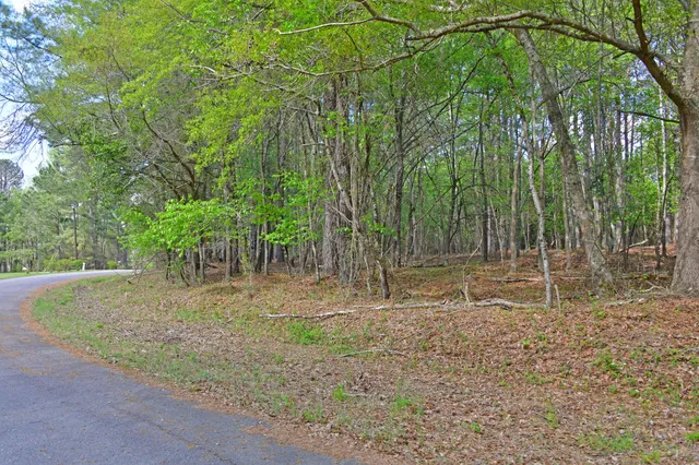 $45,000 | 0 Ridgelake(15-a 15-b) Circle, St. Matthews, SC 29135