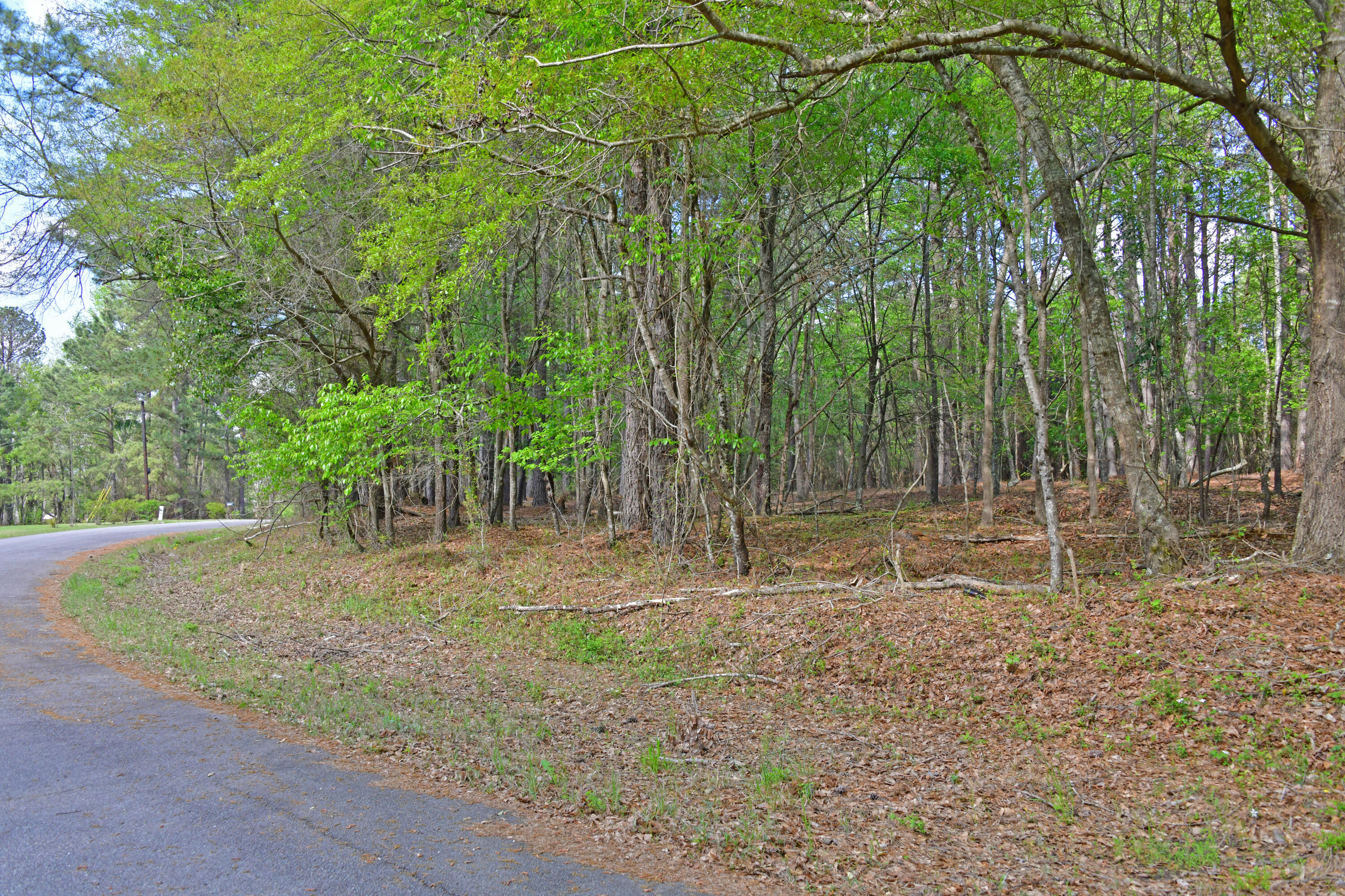 0 Ridgelake(15-a 15-b) Circle St. Matthews, SC 29135 - Photo 2 of 4 Ridgelake Cir lots 15A-15B.3