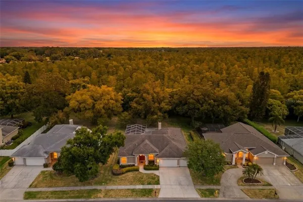 $600,000 | 18543 Bittern Avenue, Lutz, FL 33558