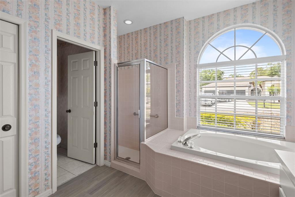 18543 Bittern Avenue Lutz, FL 33558 - Photo 11 of 45 a bathroom with a tub a window and a chandelier