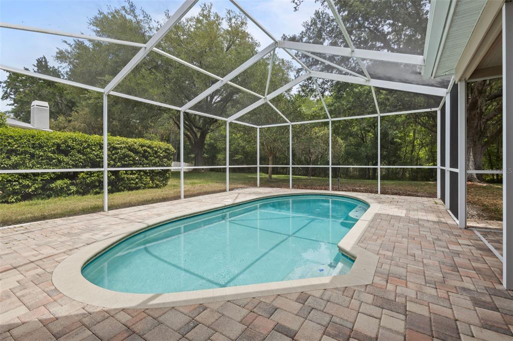 18543 Bittern Avenue Lutz, FL 33558 - Photo 2 of 45 a view of outdoor space and yard