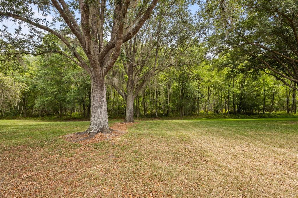 18543 Bittern Avenue Lutz, FL 33558 - Photo 22 of 45 a view of a field with trees in the background