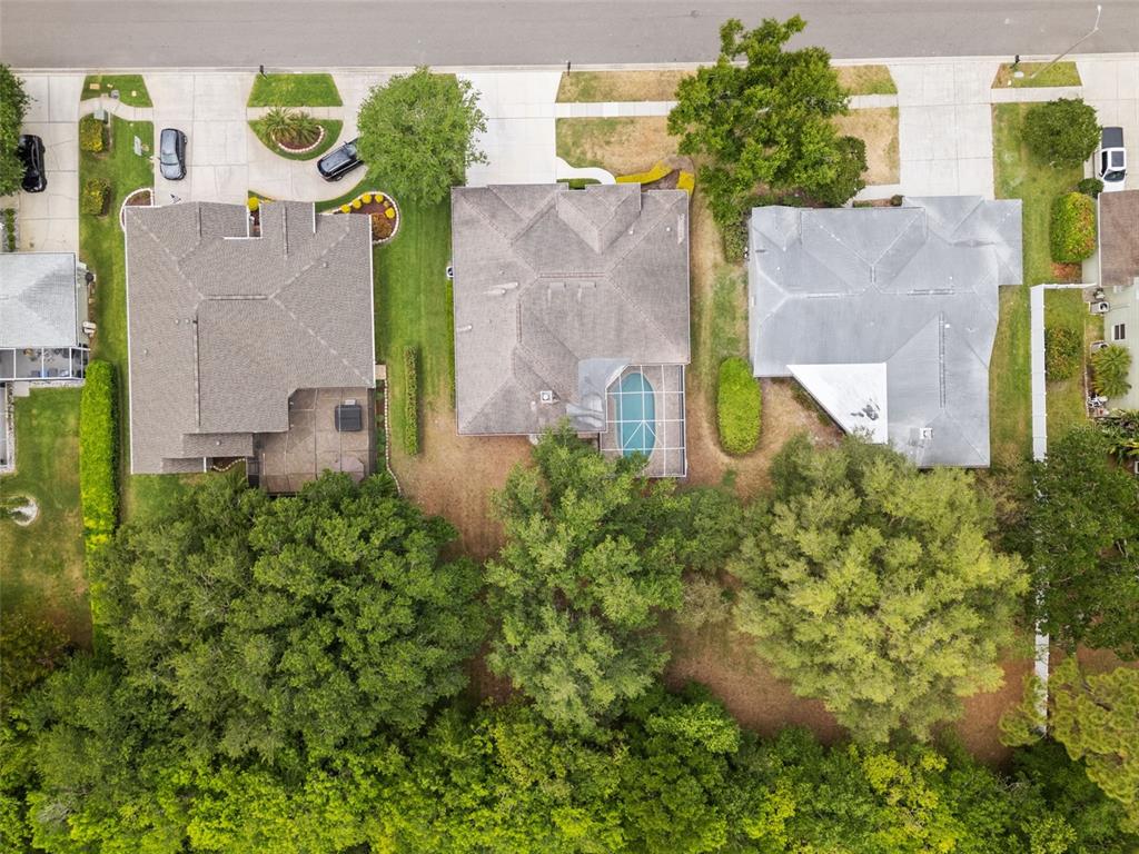18543 Bittern Avenue Lutz, FL 33558 - Photo 23 of 45 an aerial view of a house with a garden