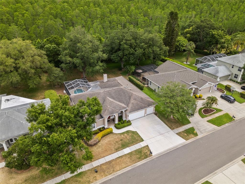 18543 Bittern Avenue Lutz, FL 33558 - Photo 25 of 45 an aerial view of a house with garden space and street view
