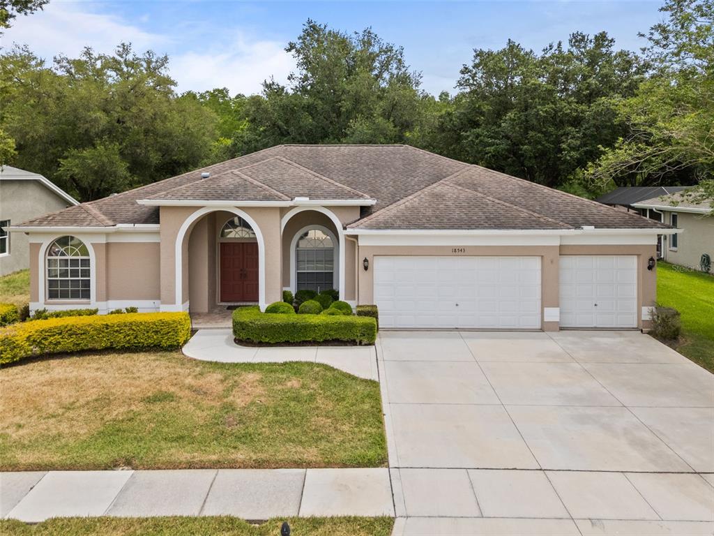 18543 Bittern Avenue Lutz, FL 33558 - Photo 26 of 45 a aerial view of a house with a yard and potted plants