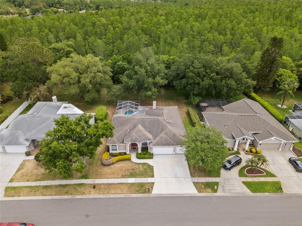 18543 Bittern Avenue Lutz, FL 33558 - Photo 44 of 45 an aerial view of a house with garden space and street view