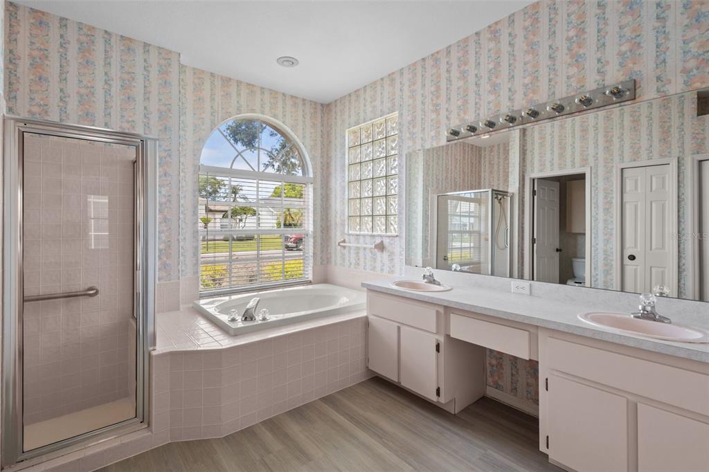 18543 Bittern Avenue Lutz, FL 33558 - Photo 10 of 45 a bathroom with a tub sink and mirror