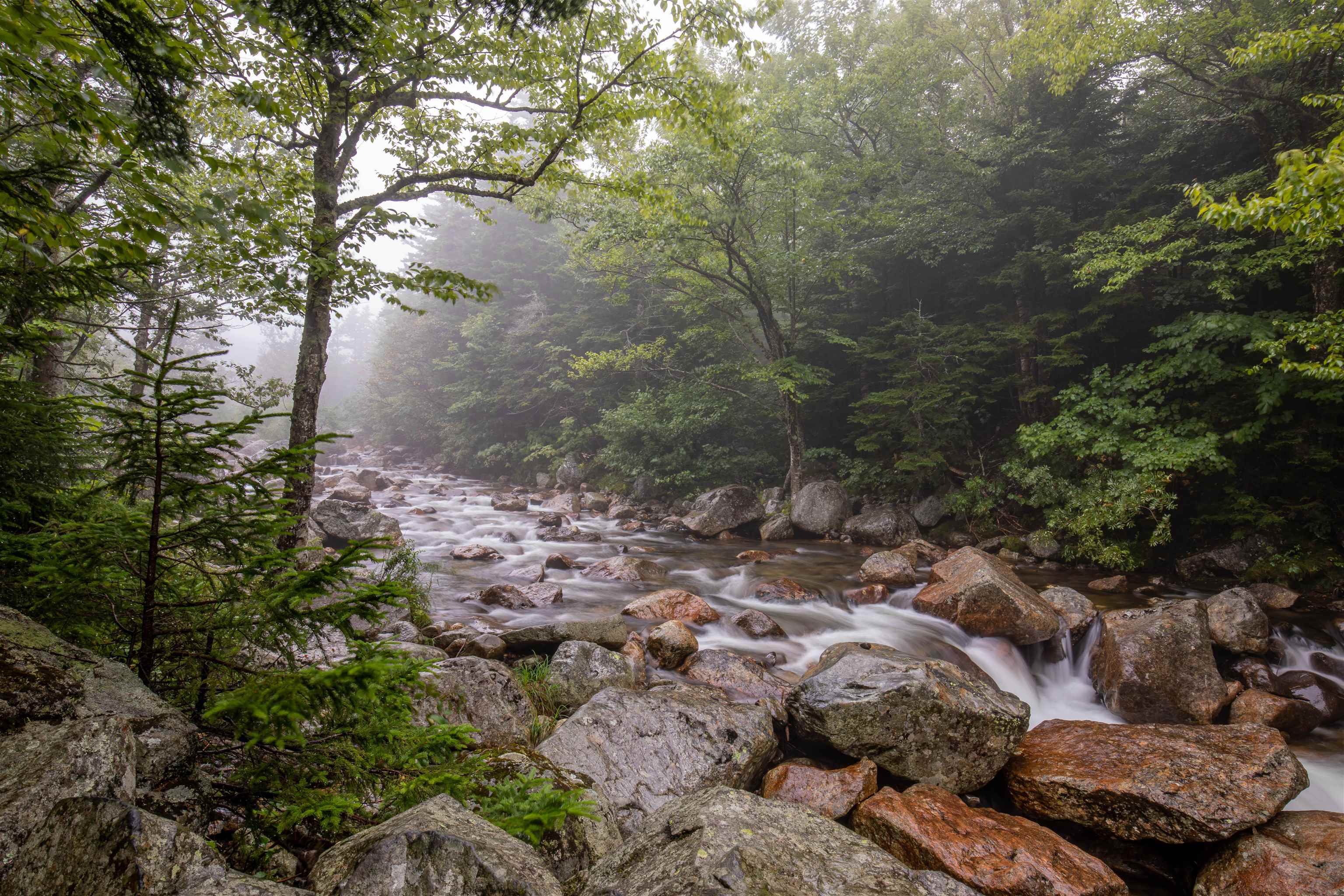 237 Glen Ledge Road Bartlett, NH 03838 - Photo 44 of 46