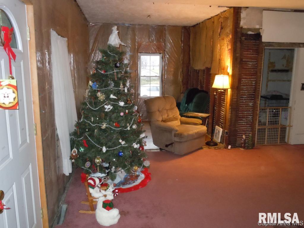 103 West Spring Grove Avenue Alexis, IL 61412 - Photo 9 of 29 Gallery Image 9