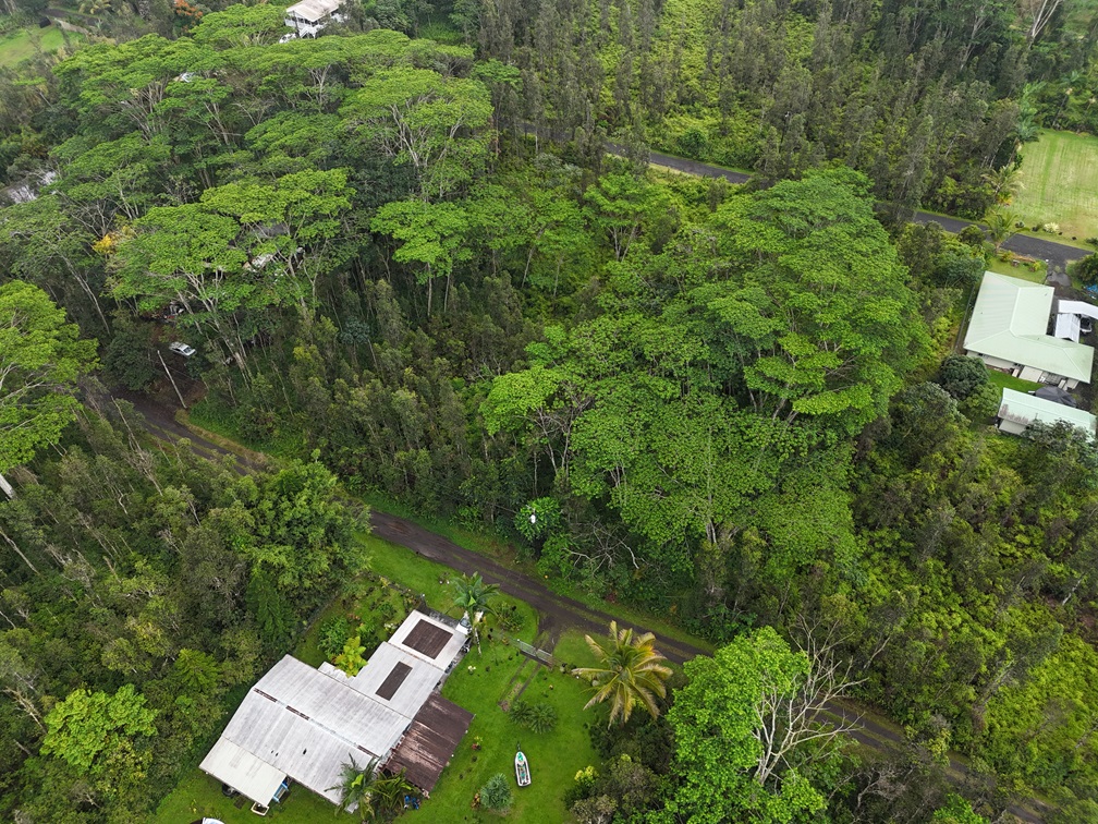 299 Ginger Road Pahoa, HI 96778 - Photo 5 of 9 Gallery Image 5